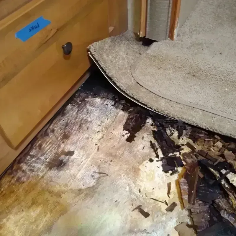 Wood Floor Water Damage in Decatur, WI